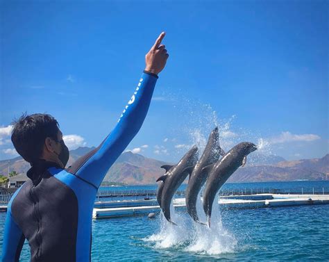 Ocean Adventure