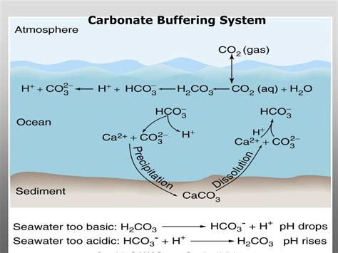 Ocean Buffer System