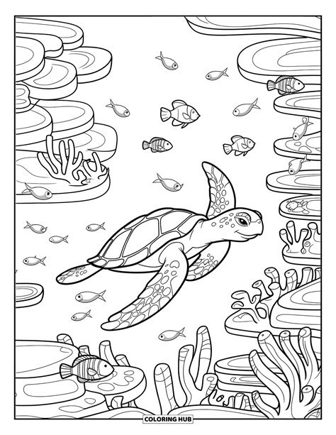 Ocean Coloring Pages Of Animals