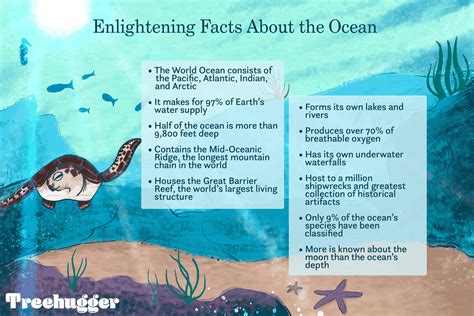 Ocean Landscape Facts