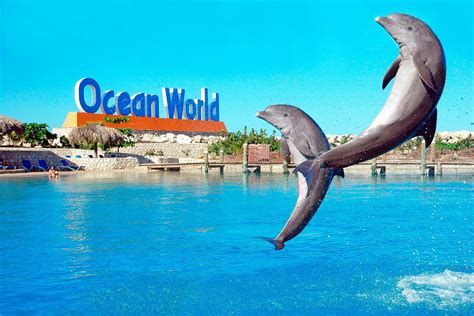 Ocean World Puerto Plata Tips