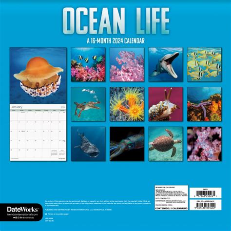 Oceans Of Fun Calendar