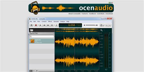 Ocenaudio: Features