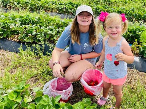 Ochlockonee Ridge Farms