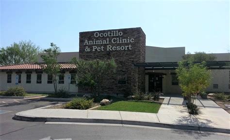 Discover Top-Quality Veterinary Care and Pet Boarding at Ocotillo Animal Clinic & Pet Resort