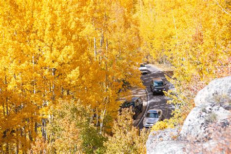 October 22 2024 Events Near Me