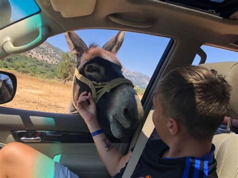 Off-Roading Adventures Crete