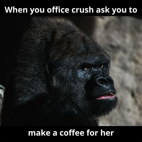 Office Crush Meme