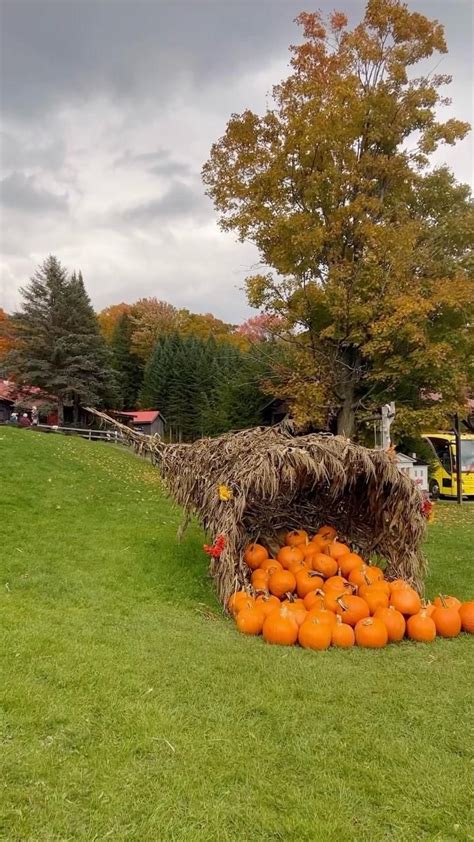 Official Beginning Of Fall 2024