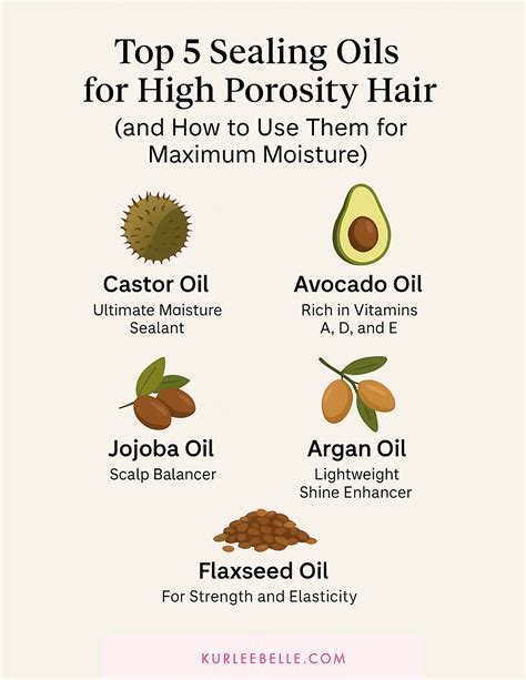 Oils For High Porosity Hair