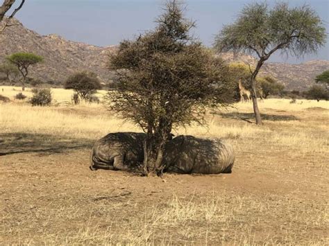 Okapuka Game Ranch guide