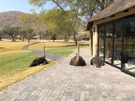 Okapuka Game Ranch reception