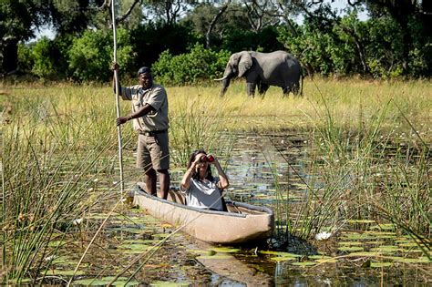 Okavango Delta Experience
