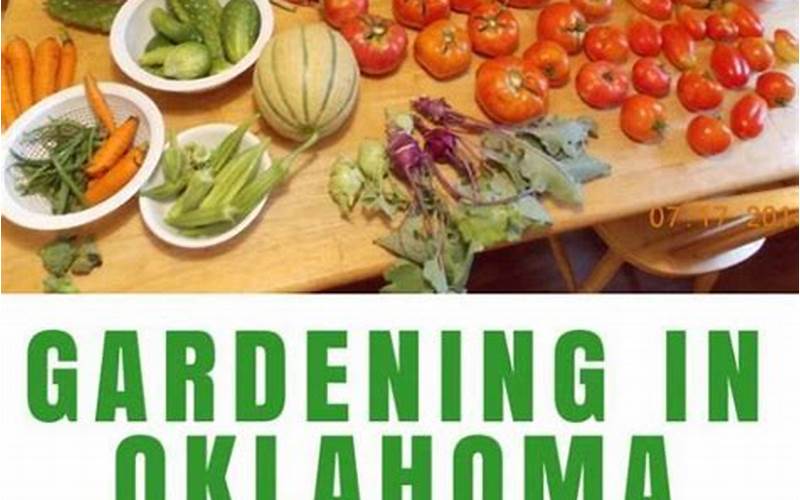 Oklahoma Vegetable Garden