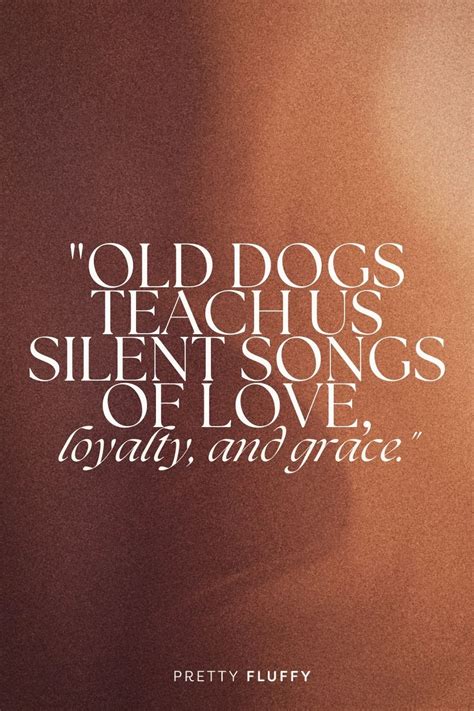 Old Dog Quotes