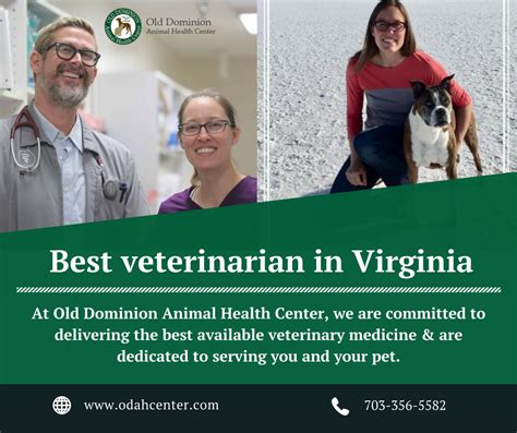 Top-Quality Care for Your Furry Friends at Old Dominion Animal Health Center in McLean, VA