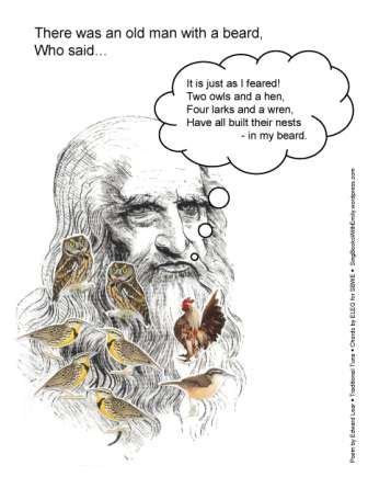 Old Man With A Beard Limerick