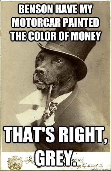 Old Money Dog Meme