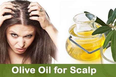 Olive Oil For Dry Scalp