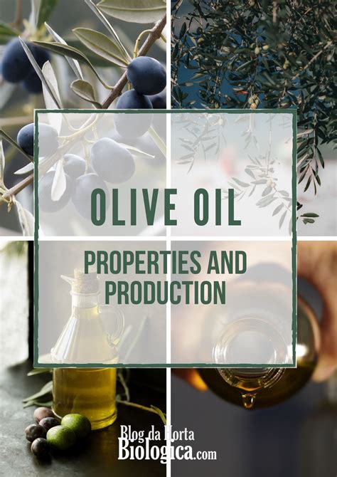 Olive Properties