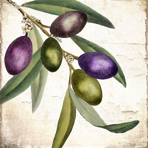 Penggunaan olive di seni dan desain grafis