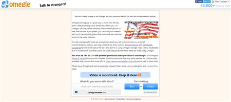 Omegle Chat Interface