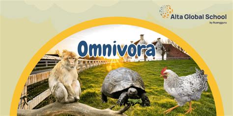 Omnivora