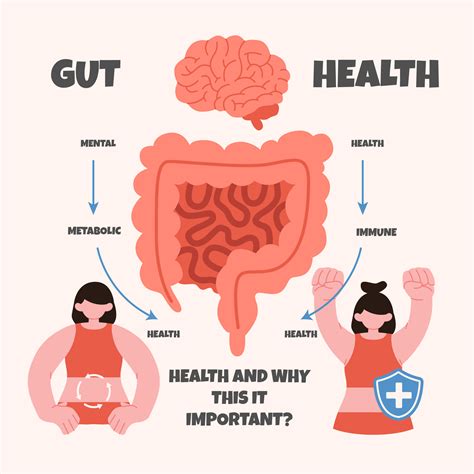 On It Gut Health