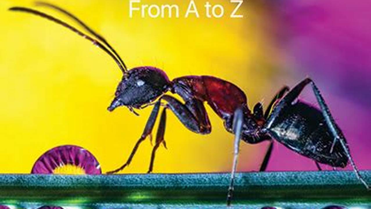 On1 Photo Raw 2025 User Guide