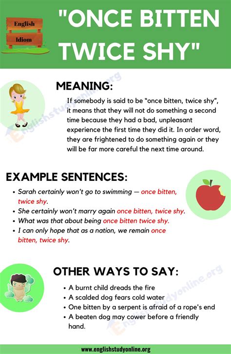 Once Bitten Twice Shy Meaning