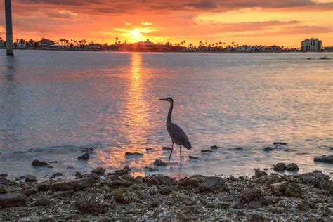Once You Arrive: Getting Around Fire Island