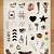 One Direction Temporary Tattoos