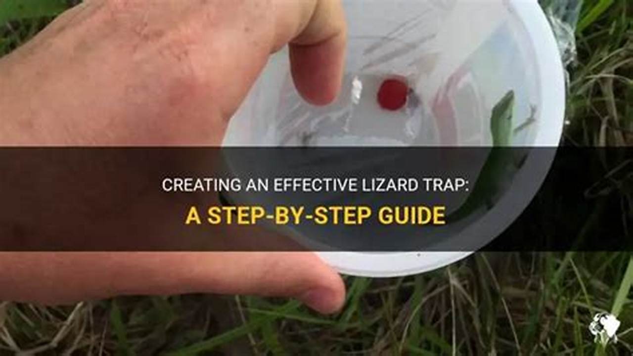 One Effective Method For Catching A Lizard In Your Backyard Is To Construct A Simple Homemade Trap., Images