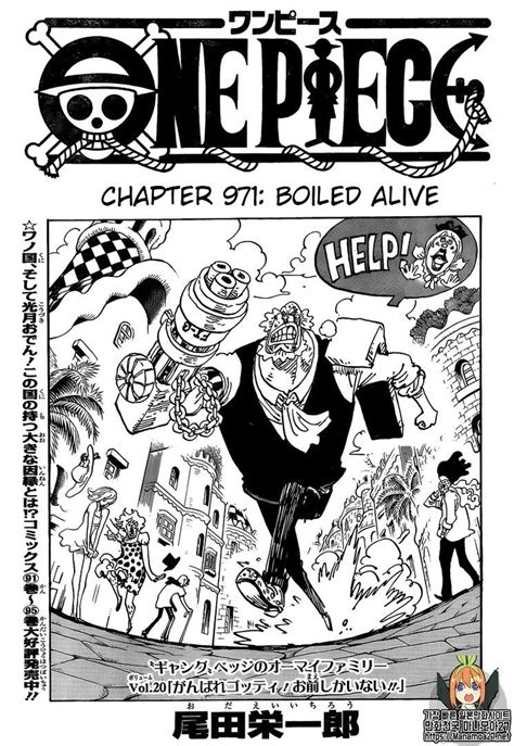 One Piece 971
