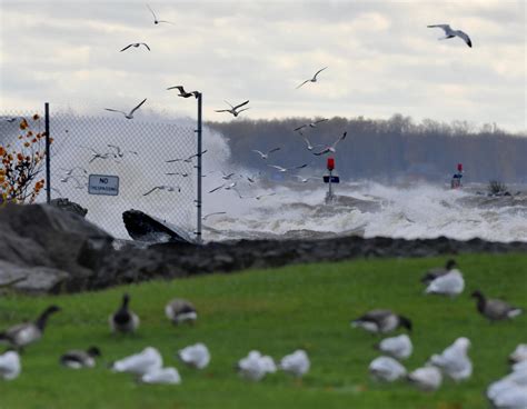 Oneida Lake Current Conditions