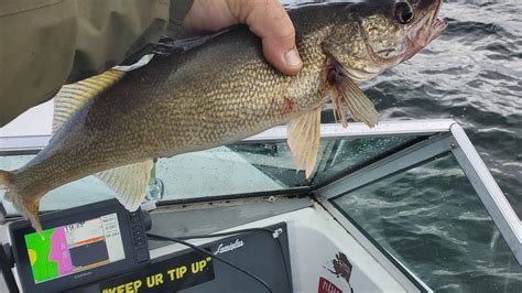 Oneida Lake fishing report