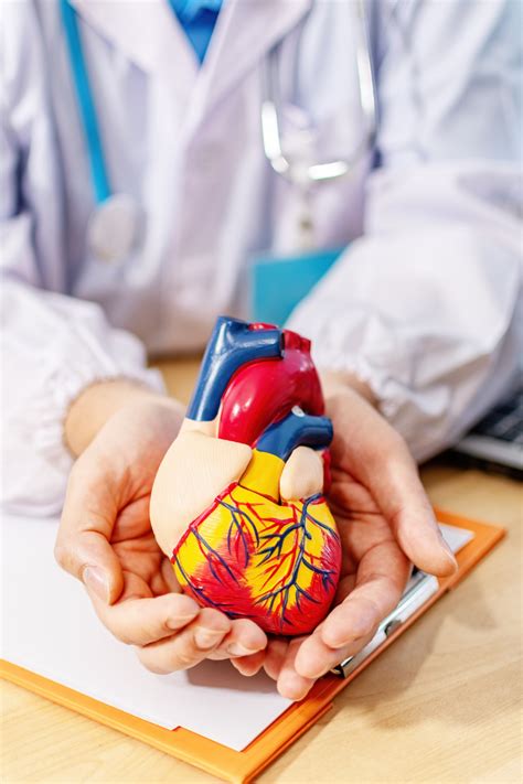 Ongoing Support and Adjustments