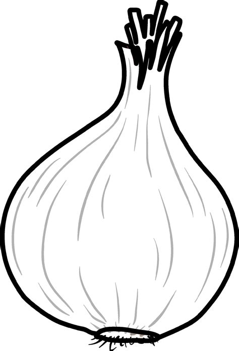 Onion Outline Picture for Colouring