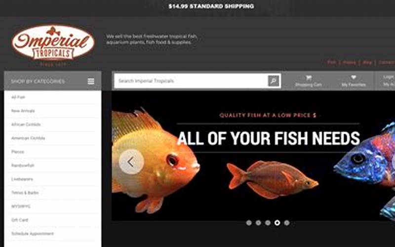 Online Fish Store