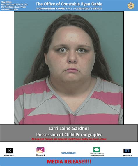 Online Predators Captured Suspects Arrested for Exploiting Children