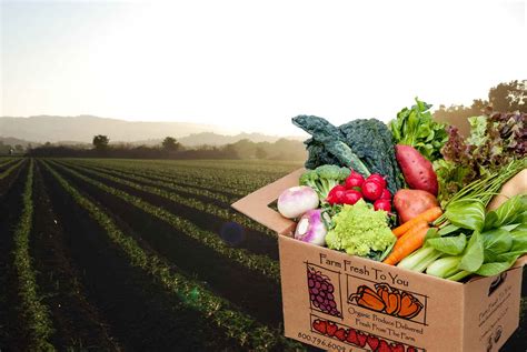 Online Vegetable Store Fresh Produce Delivered