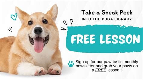 Online vs. In-Person Dog Grooming Lesson