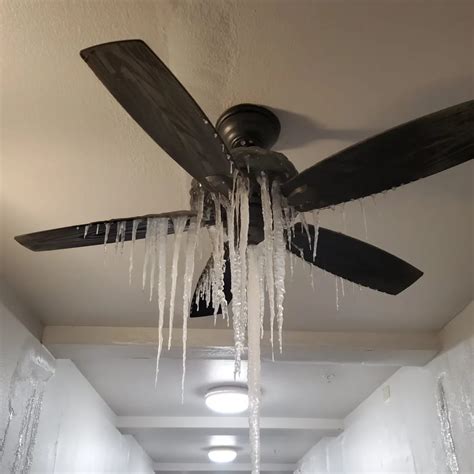 Only Fan Leaking Protection: Safeguard Content