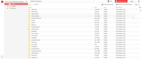 Onlyfans Mega Leak: Expert Damage Control Guide