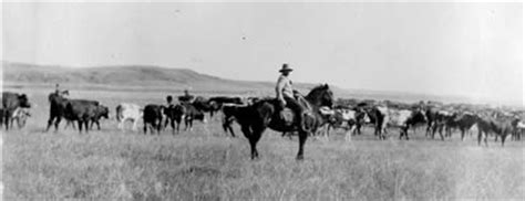 Understanding Open Range: A Key Aspect of US History