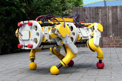 Open Source Dog