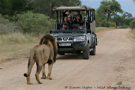 Open Vehicle Safari