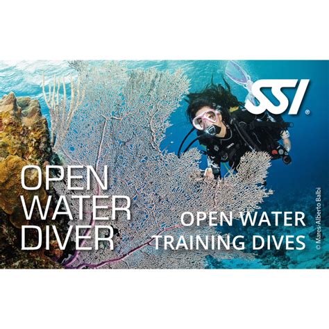 Open Water Dives