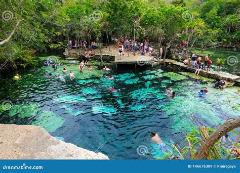 Open-Air Cenote