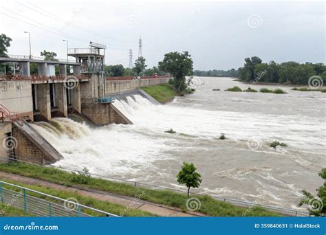Opening the floodgate
